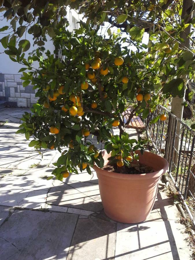Apartma BAJČI Ajdovscina Exterior foto