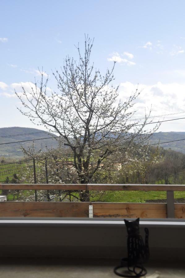 Apartma BAJČI Ajdovscina Exterior foto