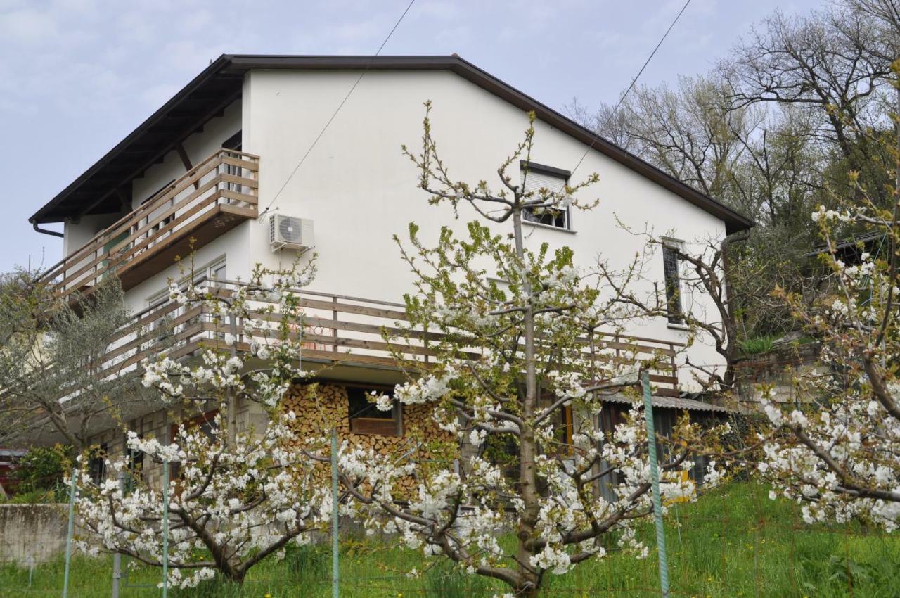 Apartma BAJČI Ajdovscina Exterior foto