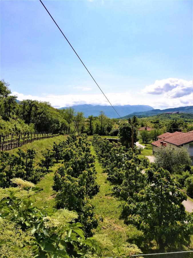 Apartma BAJČI Ajdovscina Exterior foto